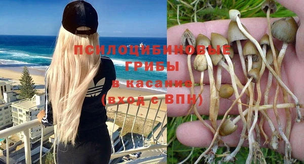 2c-b Володарск