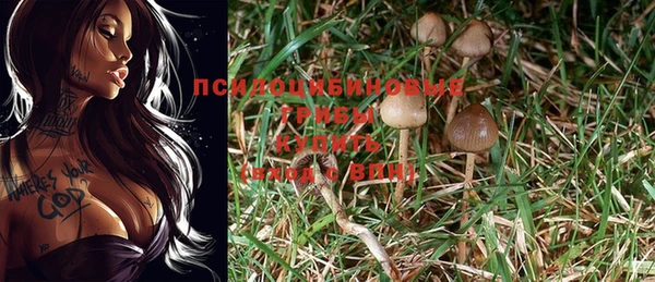 2c-b Волосово